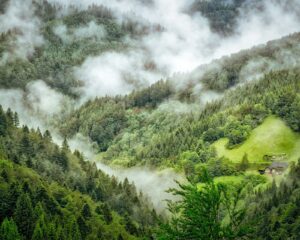 i14qtvs8itcfefulsk2l-2