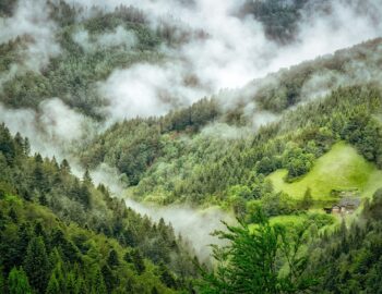 i14qtvs8itcfefulsk2l-4